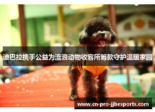 迪巴拉携手公益为流浪动物收容所筹款守护温暖家园